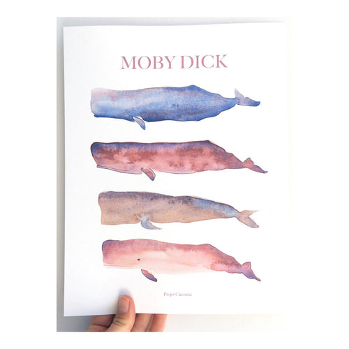 WHALE ILLUSTRATION - MOBY DICK