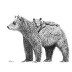Illustration maman ours avec son ourson- LE NID ATELIER