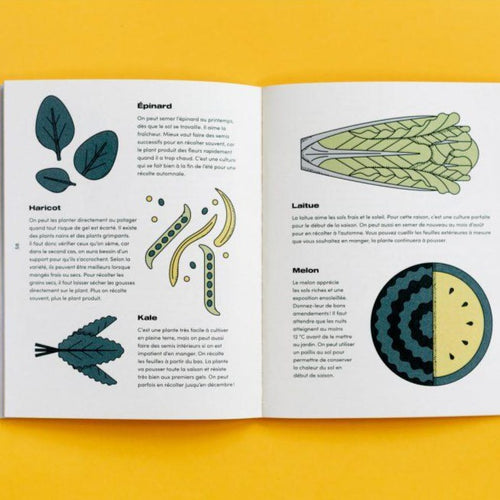 THE LITTLE ILLUSTRATED GUIDE TO THE GARDEN - THE URBAN NUTRITIONIST