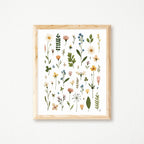 HERBARIUM POSTER PRESSED FLOWERS - JOANNIE HOULE 