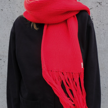 Load image into Gallery viewer, RED SCARF