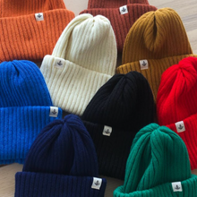 Load image into Gallery viewer, PUMPKIN BEANIE